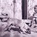 Alegr�a infantil - Autor: Luciano Garc�a Garc�a