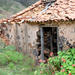 Camino del Topo