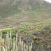 Camino del Topo