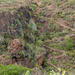 Sendero de acceso a Barranco del Rey