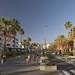 Rafael Puig Ave in Playa de Las Am�ricas