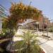 Chinyero walkway in Playa de Las Am�ricas