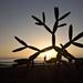Street art - Sunset at promenade in Las Am�ricas 