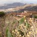 Imagen del Caser�o de Casas Altas. Concejal�a Municipal de Patrimonio Hist�rico del Ayuntamiento de Arona. Octubre 2007