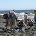 Natural ponds - close to the lighthouse in Malpa�s de Rasca