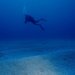 Estrella de mar - Echinaster sepositus ~ Fotografía de Javier Martínez Santana
Las populares estrellas de mar se caracterizan por tener un cuerpo formado por un disco central del que salen cinco brazos o más, según la especie. La mayoría de las estrellas son carnívoras, muy voraces y se alimentan de cualquier animal vivo o muerto que se encuentre en el fondo (esponjas, coral,crustáceos...) Estrella de mar - Echinaster sepositus ~ Fotografía de Javier Martínez Santana
Las populares estrellas de mar se caracterizan por tener un cuerpo formado por un disco central del que salen cinco brazos o más, según la especie. La mayoría de las estrellas son carnívoras, muy voraces y se alimentan de cualquier animal vivo o muerto que se encuentre en el fondo (esponjas, coral,crustáceos...)
