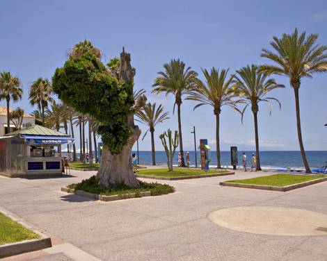 Seaside pedestrian area - Las Américas Seaside pedestrian area - Las Américas