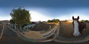 Centro h�pico del Sur