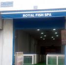 Royal Fish and Spa Los Cristianos